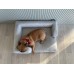 Dogidigi SNUG gultas šuniui [įvairių spalvų pasirinkimas] DOGIDIGI Basic atviri gultai 