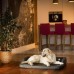 Medico standard guolis šunims - juodas - Ekolen audinys DOGGY gultai šunims 