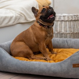 Otto guolis šunims su ortopediniu čiužiniu, pilkas + čiužinio spalva pasirinktinai